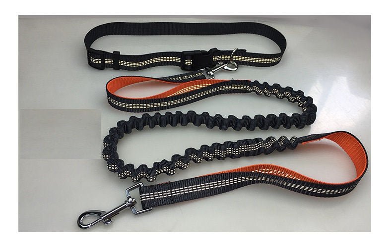 CORREA DE PERROS ELASTICA “HANDS-FREE-STRAP” - MOLA VARIEDADES