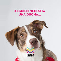 GUANTE ESPECIAL PARA BAÑO DE MASCOTAS - MOLA VARIEDADES